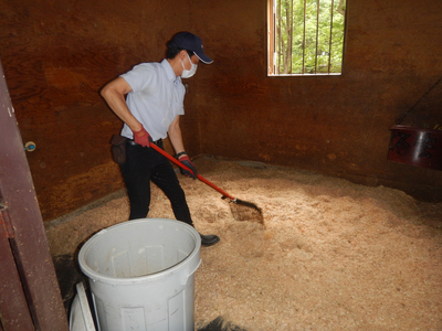 ポニーお世話体験&オリジナルグッズ作り 1名分 | ネーブルパーク ポニー 厩務体験 体験 公園 子供 子ども 休日 夏休み 冬休み GW 贈り物 プレゼント 茨城県 古河市 送料無料 着日指定可 _