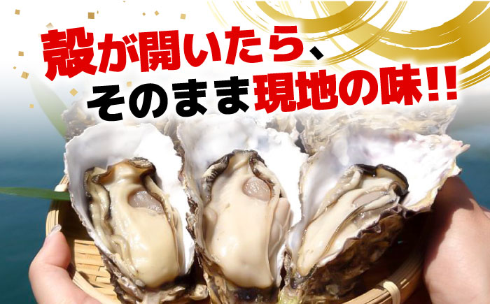 【年内発送】特選 牡蠣三昧！【瞬間冷凍】広島牡蠣　殻付き２kg カキ かき 広島 料理 簡単 魚介類 海鮮 ギフト 広島県産 江田島市/株式会社門林水産 [XAO029] 牡蠣