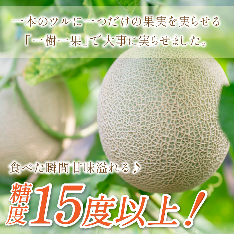 【0925-3】やまの農園　感謝のメロン～一期一会「うしわか」～（先行予約2025年7月中旬より順次発送予定）