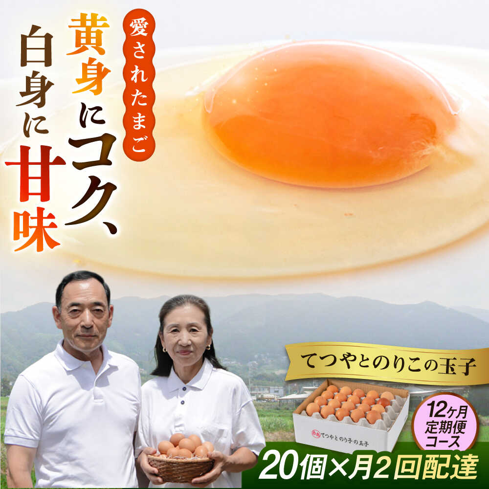 【ふるさと納税】《20個 × 月2回 12ヶ月コース》 卵 てつやとのりこの玉子 全24回 定期便 糸島市 / 板垣ファーム [AWD014] 卵 たまご 常温