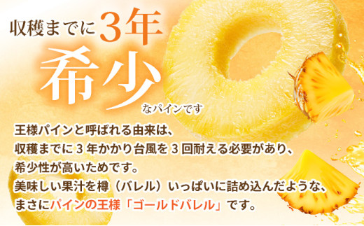 ＜先行予約＞ 石垣島産 ゴールドバレルパイン 大玉２個入り 約3.4kg ＜2026年7月以降発送＞ | 産地直送 沖縄 石垣 フルーツ パイナップル パイン ゴールドバレルパイン SI-39
