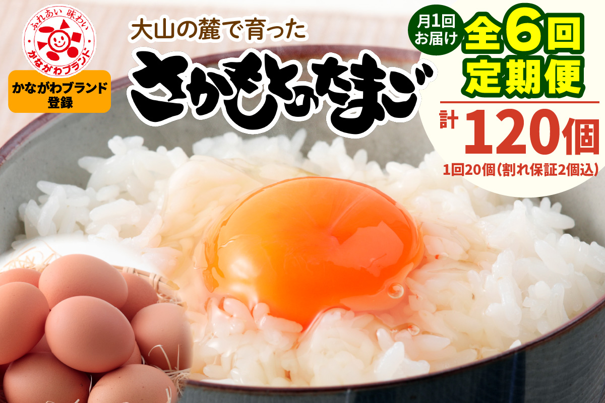 [定期便／6ヶ月×月1回]《2026年4月中旬より順次発送》さかもとのたまご 20個 (18個＋割れ保証2個) 合計120個｜坂本養鶏 大山の麓で育ったさかもとのたまご 赤玉卵 玉子 鶏卵 伊勢原市 