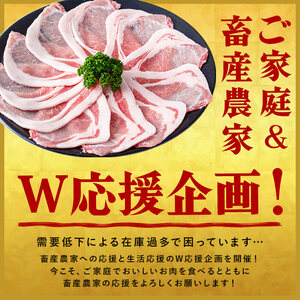 【数量限定】小分け・真空パック!九州産豚肉4種セット＜計4.5kg(計14P)＞豚肉 豚 ロース バラ モモ ウデ 肩ロース バラエティ 詰め合わせ セット 訳あり a6-050