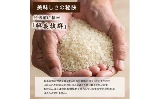 5月田植えの様子