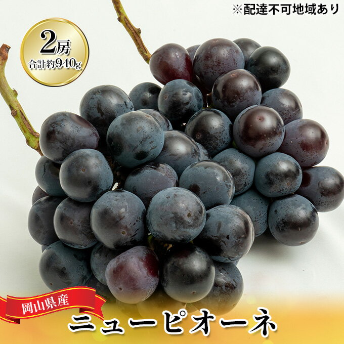 【ふるさと納税】ぶどう 2026年 先行予約 ニュー ピオーネ 2房（合計約940g）化粧箱入り ブドウ 葡萄 岡山県産 国産 フルーツ 果物 ギフト 　お届け：2026年8月下旬～2026年9月下旬