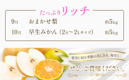 旬の フルーツ 定期便 2ヶ月連続 秀品 リッチ 日本フルーツ株式会社《9月より出荷開始》熊本県 荒尾市 おまかせ 梨 早生みかん 果物 フルーツ スイーツ デザート ギフト ご贈答