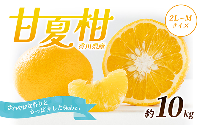甘夏柑 甘夏 あまなつ 約10kg 2L～Mサイズ 小豆島 瀬戸内 柑橘 みかん 蜜柑 ミカン みかん類 柑橘類 果物 くだもの 果物類 フルーツ 生鮮 食品 国産 さっぱり さわやか 酸味 甘さ 香り ギフト 贈り物 贈答 五色青果 香川県 土庄町