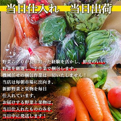 ふるさと納税 時津町 【発送月固定定期便】こだわり野菜セット 7品目以上 詰め合わせ (時津町)全4回 |  | 01