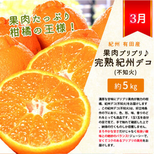 【発送月固定定期便】紀州和歌山産旬のフルーツセット(みかん・紀州デコ・清見)全3回【配送不可地域：離島】【4005746】