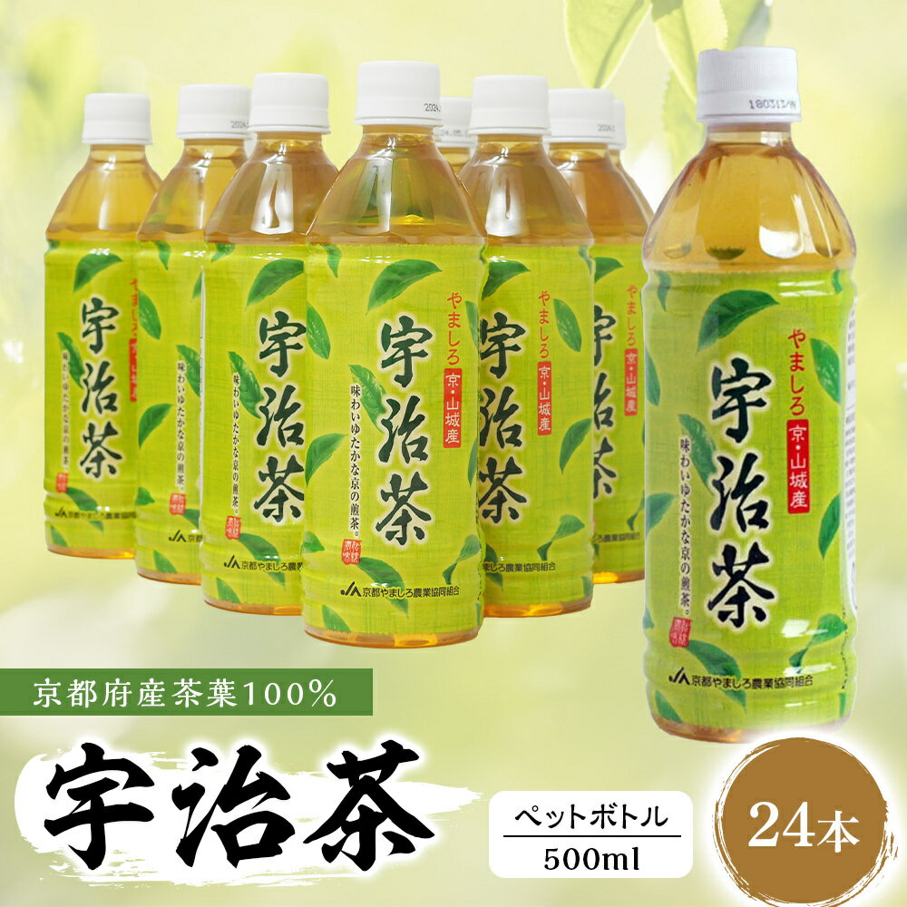 【ふるさと納税】 京都 宇治茶 ペットボトル 500 ml × 24本 （京都府産 京都産 お茶 茶 京都 宇治 宇治茶 宇治抹茶 緑茶 ペットボトル 500 24本 煎茶 かぶせ茶 宇治抹茶 常温 ）