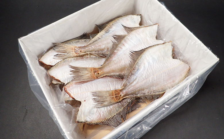 【北海道根室産】一夜干し宗八かれい12枚 G-11006