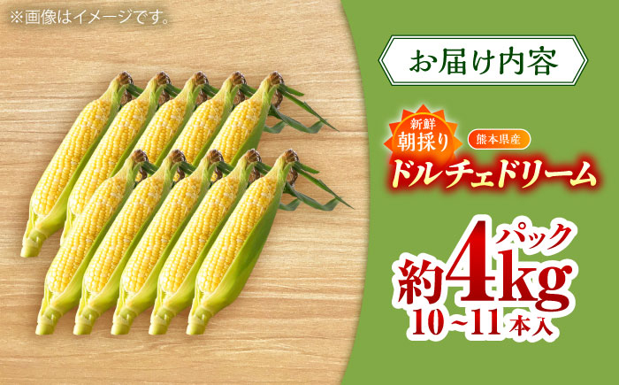 【5月下旬から順次発送】【限定数量】スイートコーン(ドルチェドリーム)約4kg【なかむら農園】 [BHCJ002]
