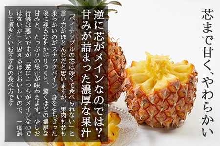 【2025年6月上旬～7月中旬発送】農家直送！石垣島産スナックパイン 4玉入 (約2.4kg) 【 沖縄県 石垣島 石垣市 スナック ポコット ボゴール パイン アップル 農家 直送 】TK-9