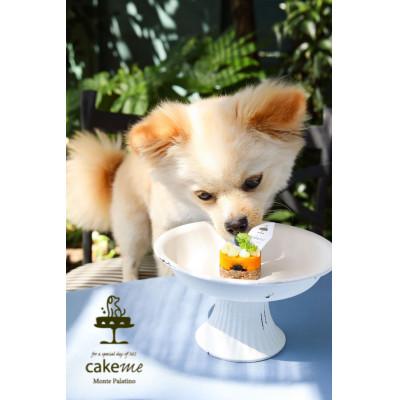 ふるさと納税 筑前町 ペットフード(犬のおやつ)　かぼちゃとブルーベリーのタルト　5個入り |  | 02