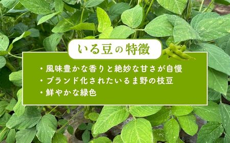 枝豆 1kg | 枝豆 枝豆 枝豆 枝豆 枝豆