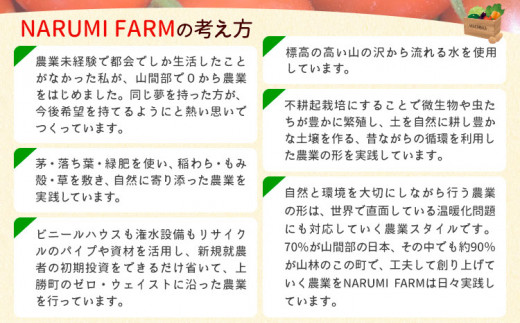 【先行予約受付中！】 ミニトマト 上勝レッド 栽培期間中農薬不使用 1kg NARUMIFARM《2024年8月上旬-11月上旬頃出荷》｜ 野菜 夏野菜 トマト とまと ミニトマト プチトマト 栽培期