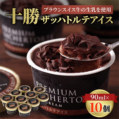 十勝ザッハトルテアイス 10個 ブラウンスイス牛 生乳 使用 チョコレート アイス チョコ 2種使用【配送不可地域：離島】