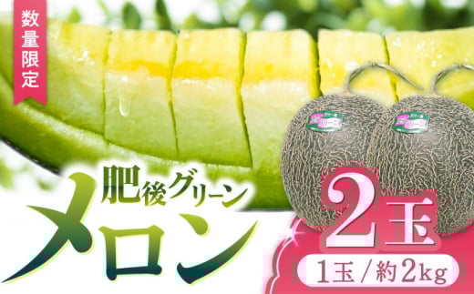 【数量限定】【先行予約】 肥後グリーン メロン 2玉 メロン くだもの ブランド 人気 鮮度 高級 種類 甘さ 甘み フレッシュ ジューシー 甘み 大きい 産地直送 糖度 おすすめ 高評価 リピーター レビュー 季節物 新鮮 熊本 山鹿市  めろん 果物 大玉 熊本県 九州 国産 フルーツ 旬 【合同会社 福福堂】[ZCN003]