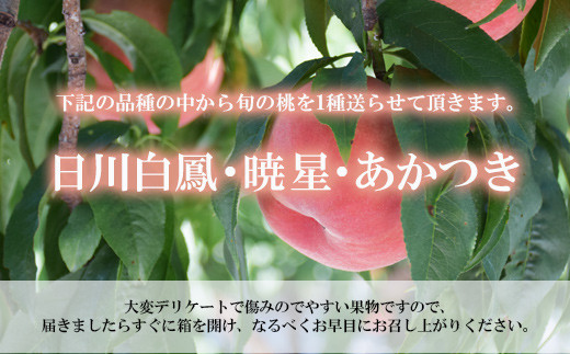 No.1757もも　7月収穫の桃　品種お任せ　約2kg【2025年発送】