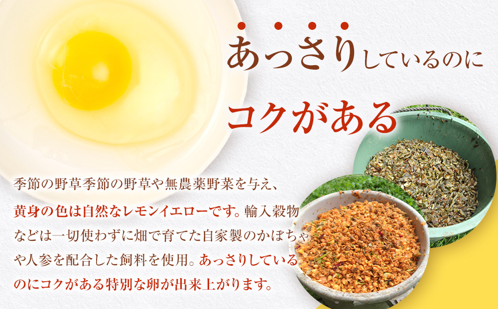 国産飼料にこだわった鶏が産む安全安心の 『レモン色たまご』20玉（15玉＋割れ保証5玉） ［Hn3］