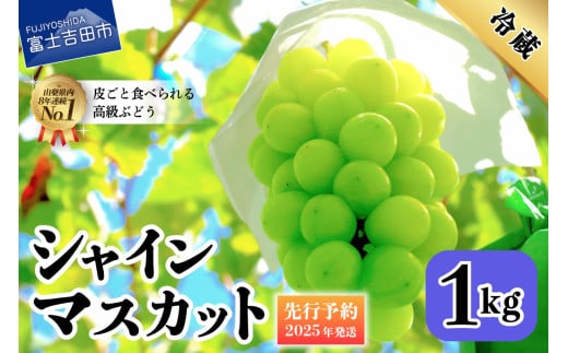 【2025年先行予約】山梨県産 シャインマスカット 約1kg(2房)　 シャインマスカット ぶどう シャイン 山梨県産 フルーツ 果物 先行予約 産地直送 数量限定 山梨 富士吉田