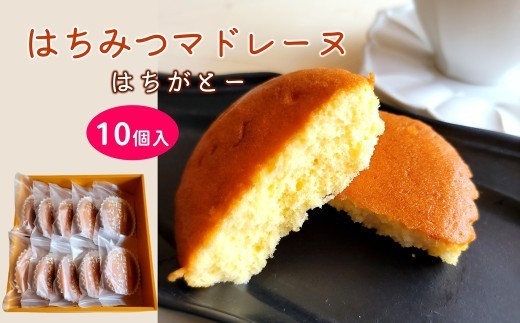 《お父さんのはちみつマドレーヌ》はちがとー　10個入　焼き菓子　スイーツ　ギフト箱入