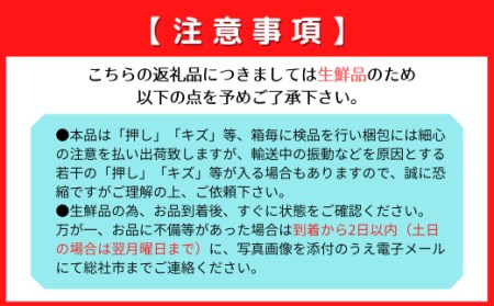 白桃「8月～9月の桃」（自家用2kg）岡山県総社もも生産組合【2024年産先行予約】24-020-006