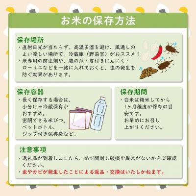 ふるさと納税 境町 新米 / 白米 《50個限定》　令和7年産 茨城県 境町産 コシヒカリ 5kg 2025年産 |  | 03