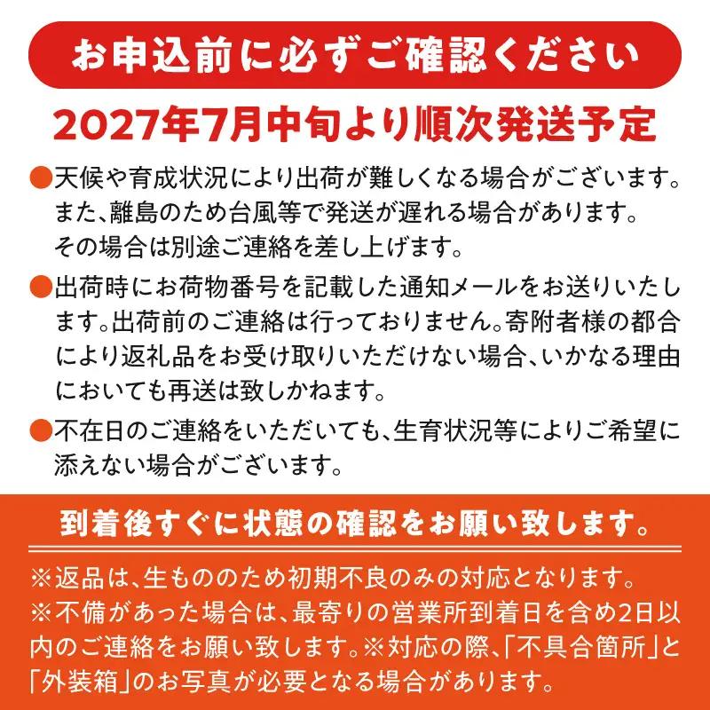 【 2027年 先行予約 】【 訳あり 】 甘い香り の 贈り物 ！ 山下農園 の 完熟アップルマンゴー 1kg （ 2～3玉 ） W063-004-01 わけあり 期間限定 果物 マンゴー