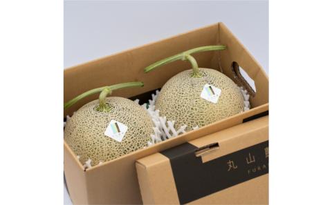 【 2024年7～8月発送】 先行受付 北海道 富良野産 赤肉 つやべに メロン 2玉 箱 4kg以上 (ふらの 丸山農園) メロン フルーツ 果物 新鮮 甘い 贈り物 ギフト 道産 ジューシー