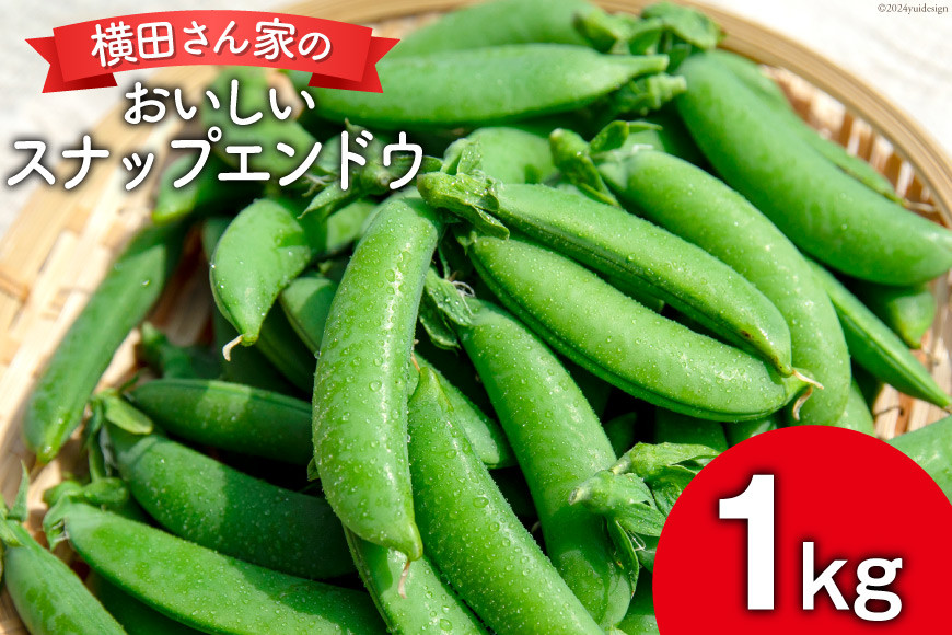 
【期間限定発送】 エンドウ スナップエンドウ 1kg [横田農園 長崎県 雲仙市 item1793] 野菜 やさい えんどう豆 エンドウ さやえんどう 新鮮 サラダ
