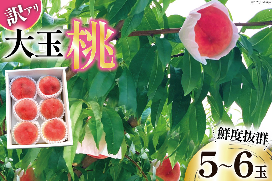
            【2025年発送】 訳あり 桃 大玉桃 5～6玉 約2kg [斉藤農園 山梨県 韮崎市 20743040] もも モモ 2キロ 果物 フルーツ くだもの 果実 旬 季節限定 期間限定 数量限定 冷蔵 山梨 大玉 デザート
          