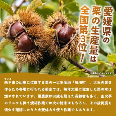 ふるさと納税 西予市 <栗乃餌木 ウッドルアー 2個セット> 釣り ルアー 栗の木 木製 手作り 餌木 |  | 02