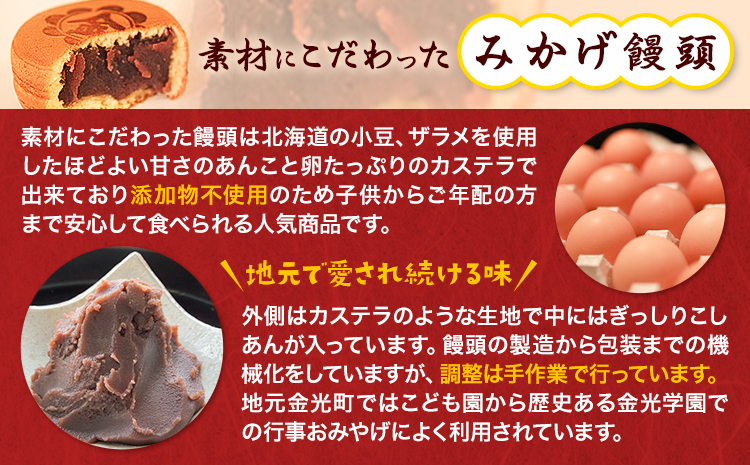 饅頭 まんじゅう みかげ饅頭 せんべい セット その3 金悦堂《30日以内に発送予定(土日祝除く)》みかげ饅頭 せんべい  和菓子 お茶請け---124_73_30d_23_16000_3---