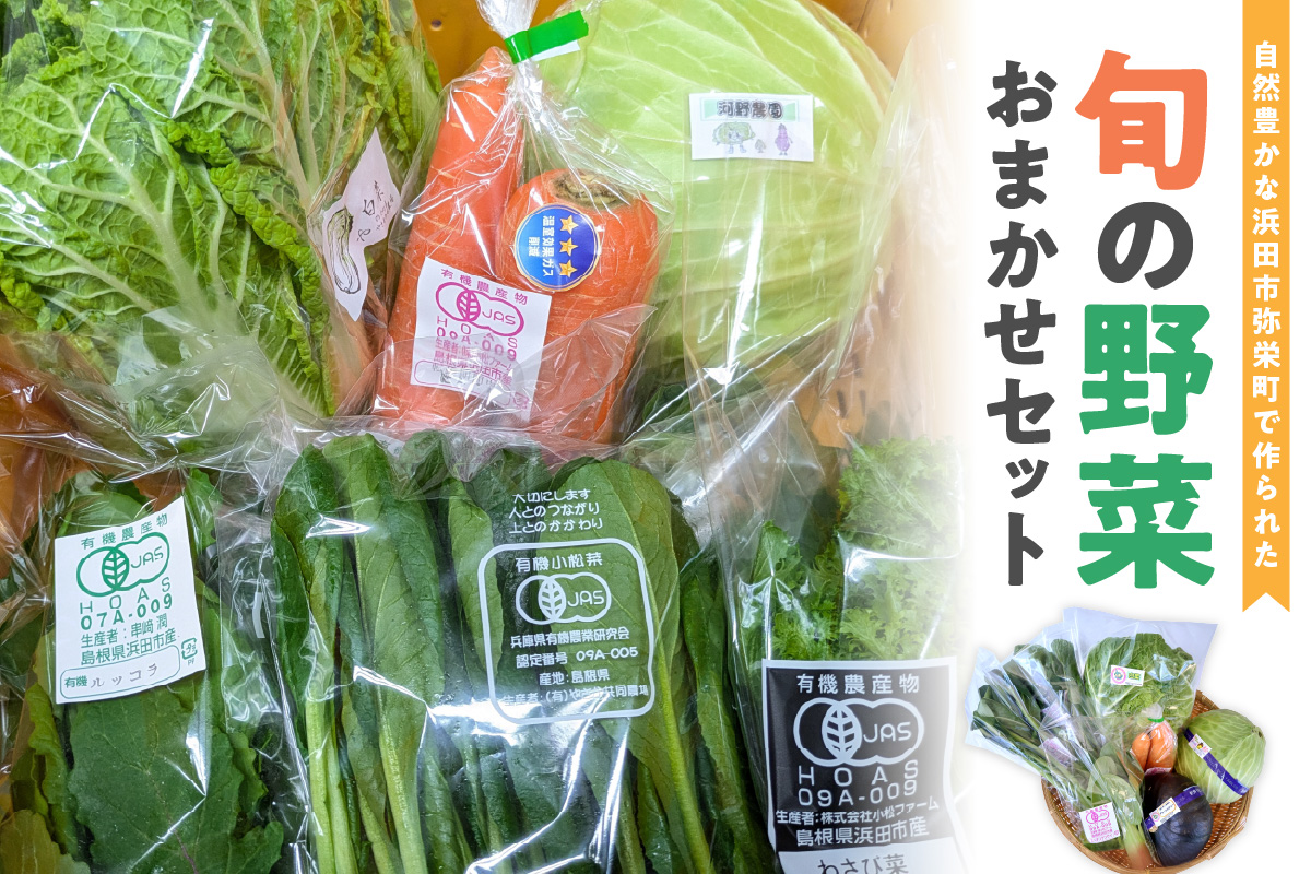 自然豊かな浜田市弥栄町で作られた「旬の野菜おまかせセット」 野菜 野菜セット 減農薬 旬 詰め合わせ セット おまかせ おたのしみ ギフト 【065_0228】
