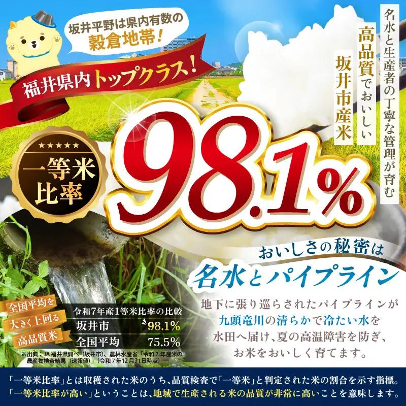 【令和7年産】 福井県のブランド米 いちほまれ 無洗米 2kg 人気 品種 ブランド米 特A  [A-6173]