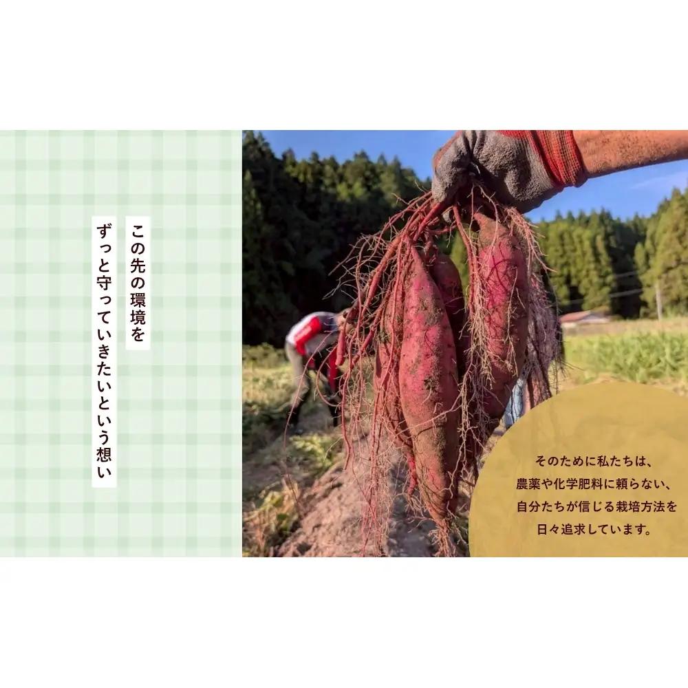 農家が惚れた「さんとこマルシェ」旬野菜セット（12-15品） / サムズアップ農園 農家 さんとこマルシェ ふるさと納税 ベジタリアン 野菜セット 旬の野菜 詰め合わせ 奈良県 宇陀市 