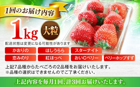 いちご 【3回定期便】 大粒 いちご [ANFX004] いちご