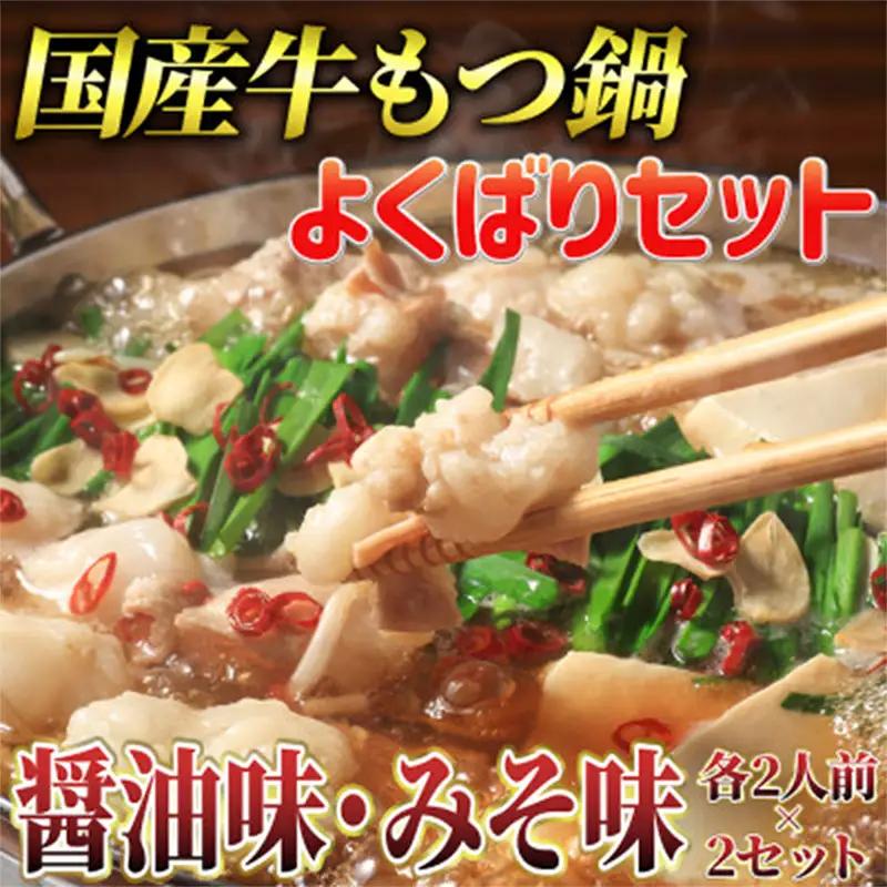 よくばりもつ鍋セット 醤油味 2人前＆みそ味 2人前(合計4人前) (米粉麺付) 【もつ鍋 もつなべ 鍋 なべ もつ 鍋セット 鍋料理 牛もつ 冷凍 国産 人気 福岡 土産 九州 博多 ご当地 福岡県 筑前町 CA015】
