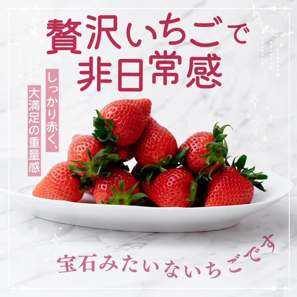 いちご 大粒完熟いちご「やよいひめ」400g