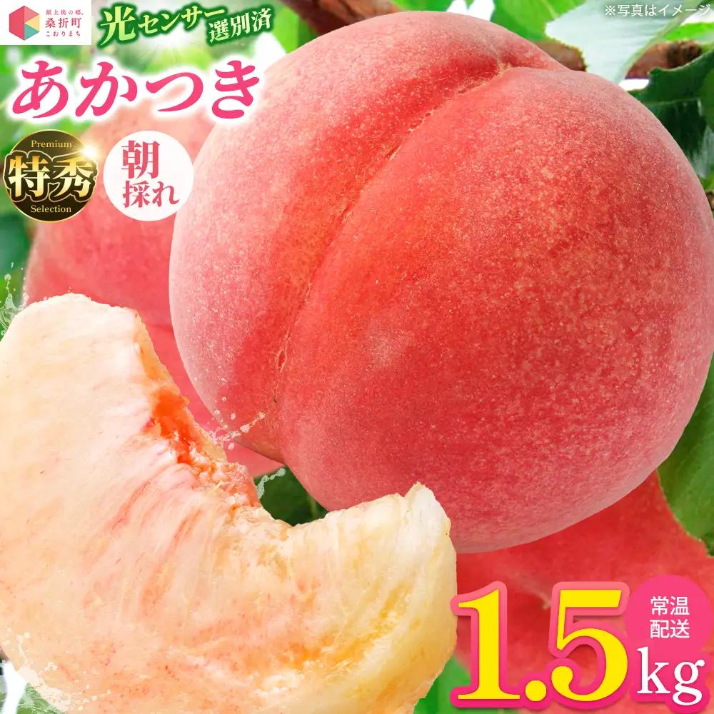 もも【あかつき・2027年産先行予約】特秀1.5kg「献上桃の郷ブランド品」桑折町産　JAふくしま未来　桃 ／ もも モモ 果物 フルーツ 旬 甘い 甘み ジューシー 果肉 果汁 新鮮 フレッシュ デザート おいしい 産地直送 桑折 こおり こおりまち 福島県 特産品 献上桃の郷 【07301-0136】