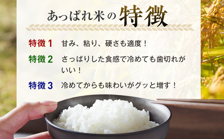 【令和7年産・早期予約受付】北海道産 津別町あっぱれ米（精米）10kg