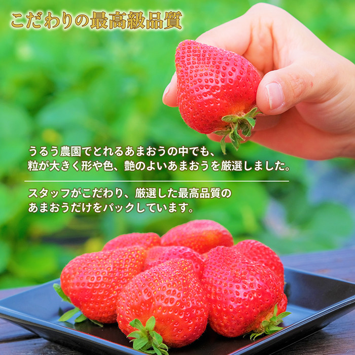 ＜予約受付中！2025年12月中旬より順次発送予定＞特選あまおう(約400g) 苺 いちご イチゴ 国産 福岡県 果物 フルーツ ヨーグルト ジャム スムージー 冷蔵 特別栽培＜離島配送不可＞【ksg