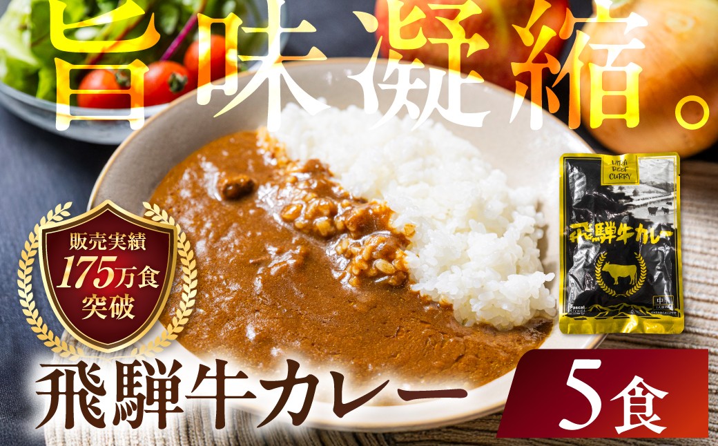 
                  飛騨牛カレー (5袋)  | 常温配送 5,000円 訳あり 飛騨牛 肉 牛 カレー ビーフカレー 簡易包装  ｜ カレー レトルトカレー 飛騨牛カレー ビーフカレー 和牛カレー 黒毛和牛カレー 高級カレー レトルト レトルト食品 レトルトカレーセット 飛騨牛 飛騨牛 牛肉 ビーフ 和牛  ご当地カレー カレーライス ライスカレー 湯煎 時短 常温保存 保存食 ふるさと清見 DC005VP
                