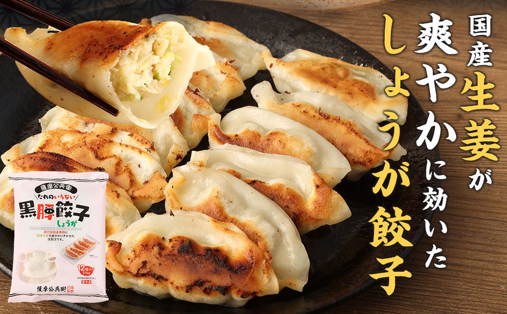 タレのいらない黒豚餃子(しょうが) 