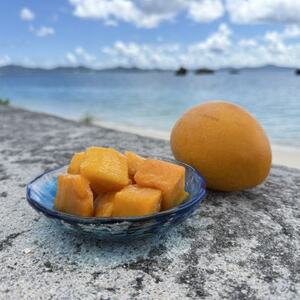 今帰仁産 山城フルーツ園の冷凍キンミツマンゴー 600g(300g×2パック)【配送不可地域：離島】【1662751】