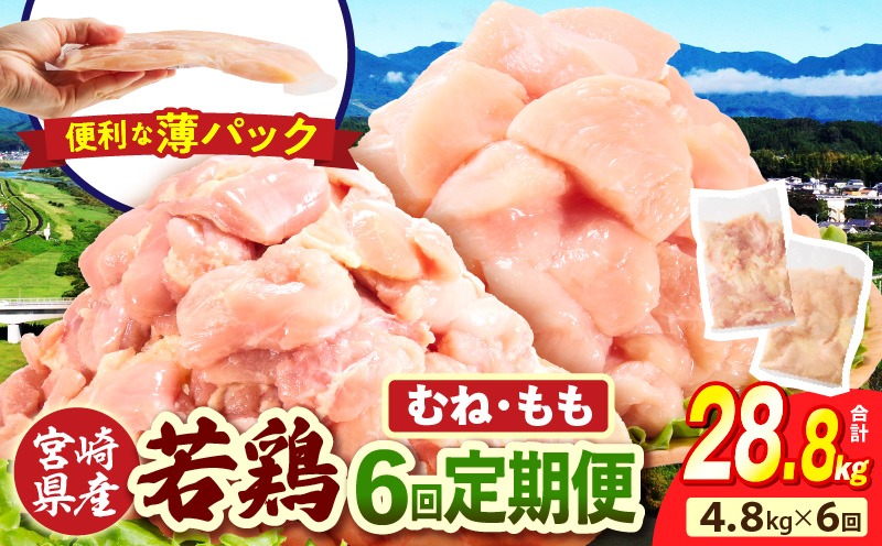宮崎県産 若鶏切身 むね肉&もも肉 4.8kg（各300g×8袋）【6か月定期便】肉 お肉 精肉 鶏肉 鶏 鳥 とり とりにく 若鶏 若鳥 もも むね ムネ肉 モモ肉 切身 カット済み 小分け パック 便利 からあげ お弁当 おかず 宮崎県産 宮崎産 国産 冷凍 定期便 おすそ分け