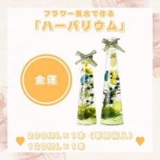 フラワー風水で作るハーバリウム「金運」