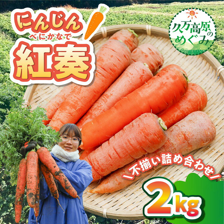 【ふるさと納税】【先行予約】にんじん（紅奏）2kg サイズ不揃い｜ 人参 ニンジン ニンジンジュース 高原野菜 久万高原町 ※2026年12月上旬～2027年2月上旬頃に順次発送予定