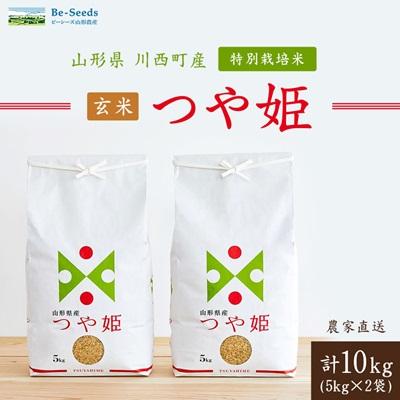 ふるさと納税 川西町 令和7年産　山形県産　つや姫　玄米　10kg